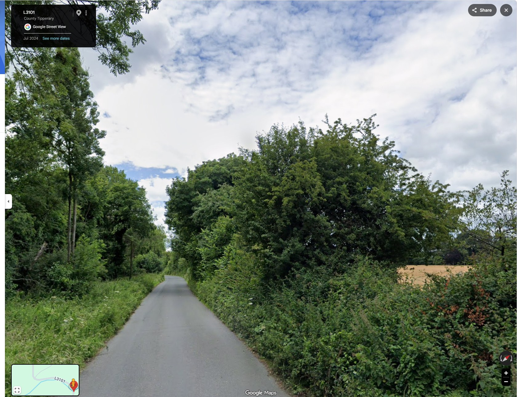 The approach lane to Killardry Bridge on the L3101, hemmed in by growth on both sides, no cut verge, Google Street View July 2024