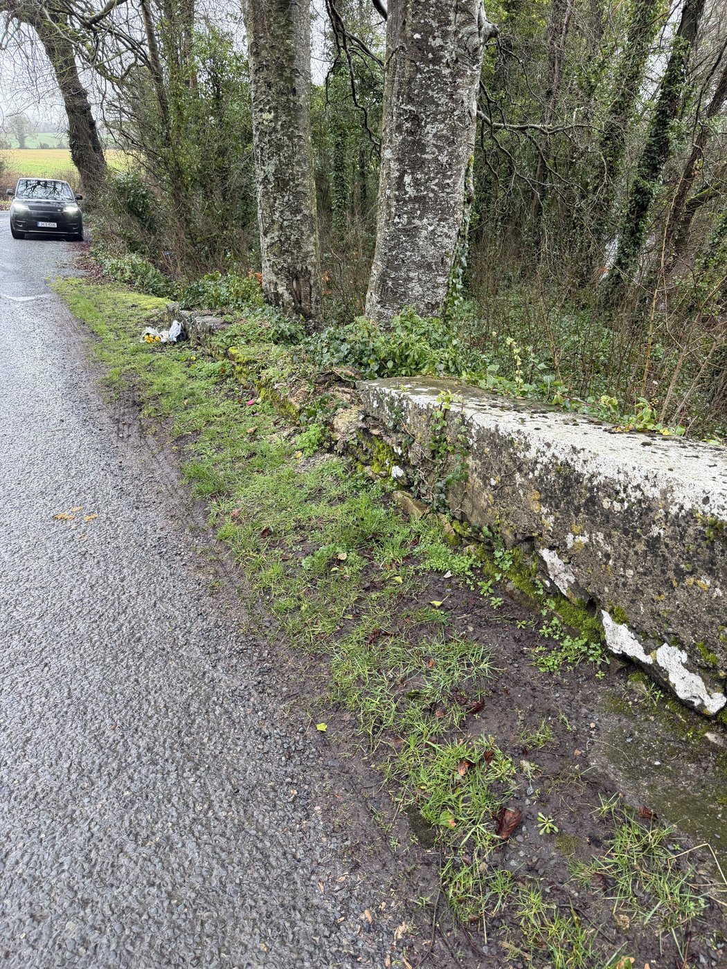 A surviving section of the wall, its capping still in place, near the roadside.