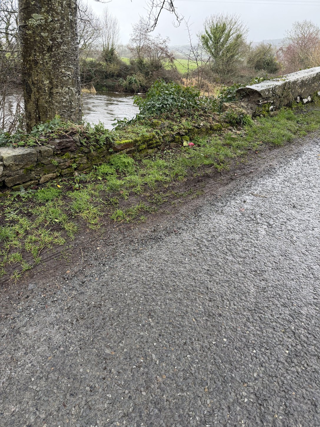 The stretch of bridge wall where the capping was removed, photographed by the family