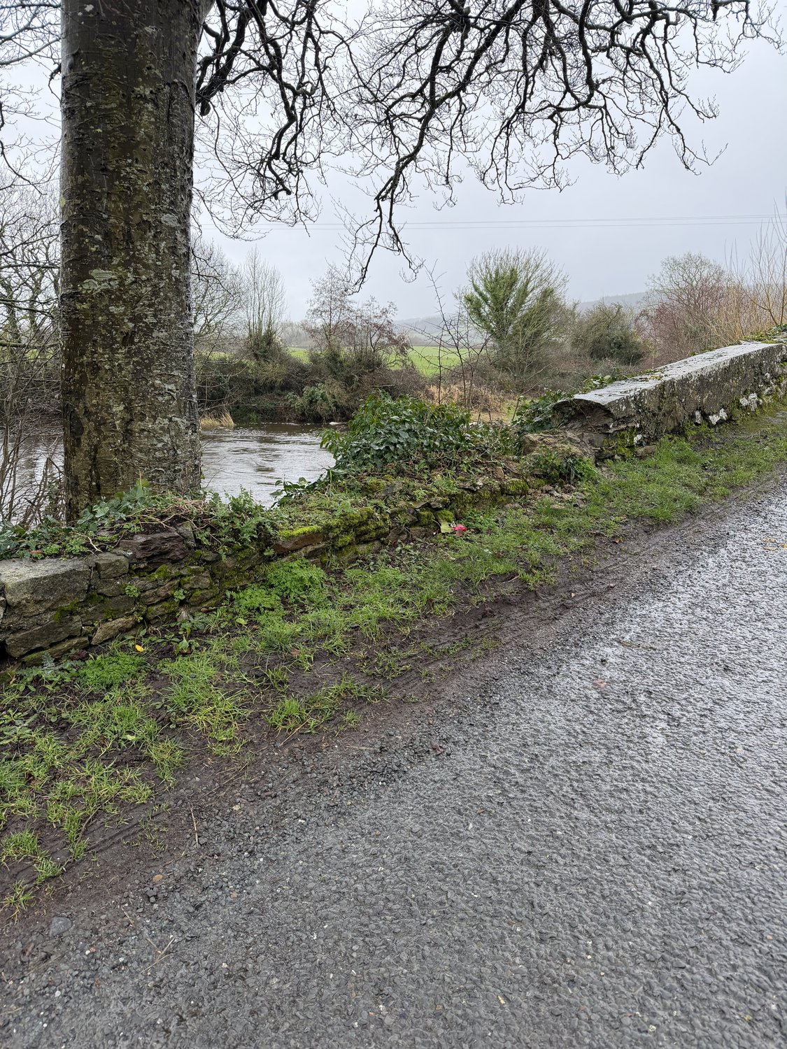 The grass verge grown level with the lowered wall at the crossing point.