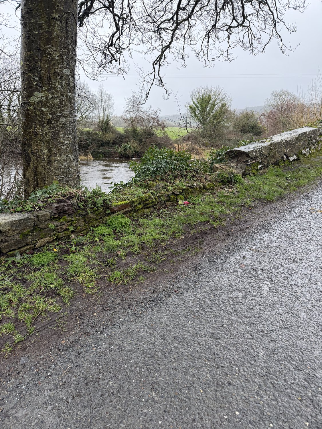 The grass verge grown level with the lowered wall at the crossing point.